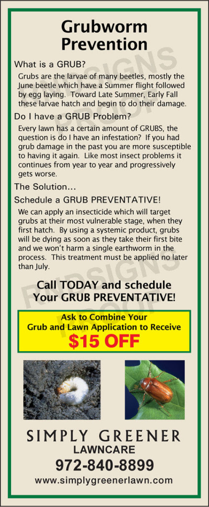 Preventive Or Curative: When To Apply Grub Control?